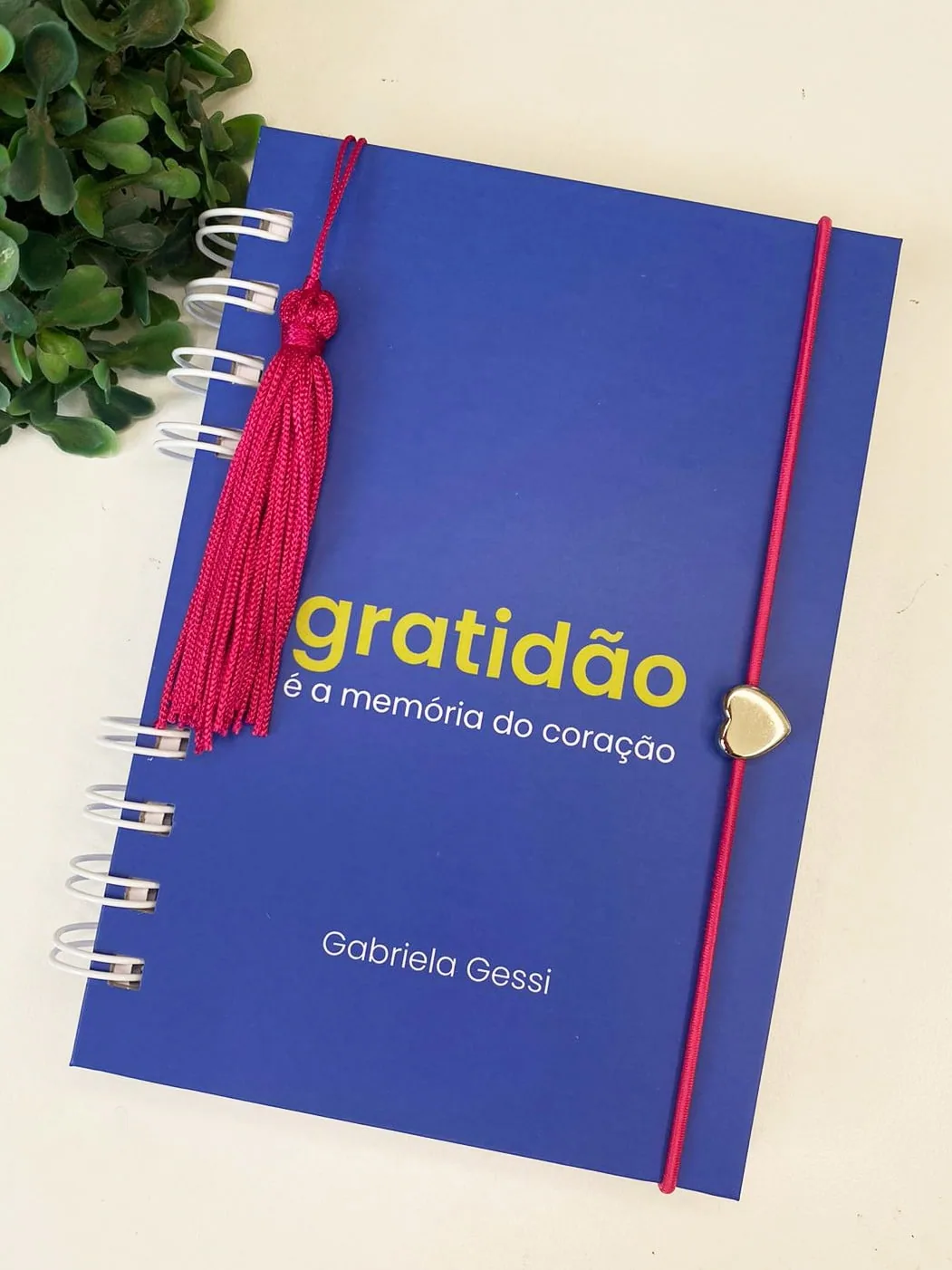 Caderneta da Gratidão – Coleção Inaá — foto 1