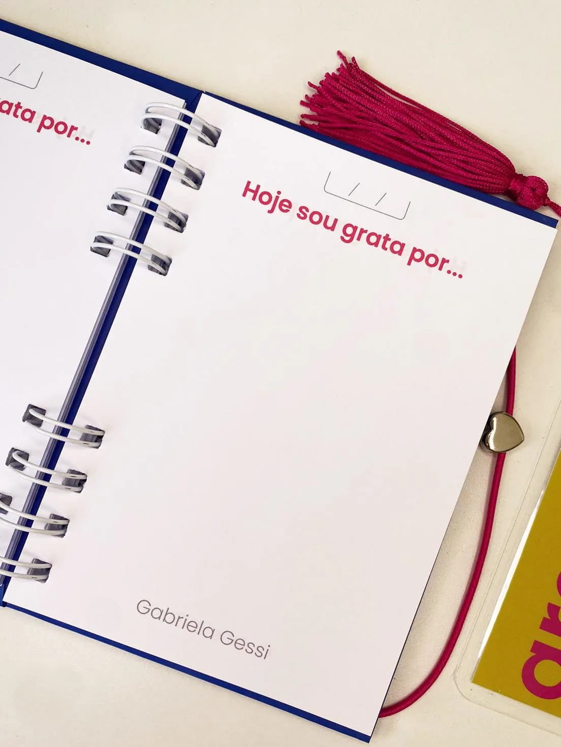 Caderneta da Gratidão – Coleção Inaá — foto 2
