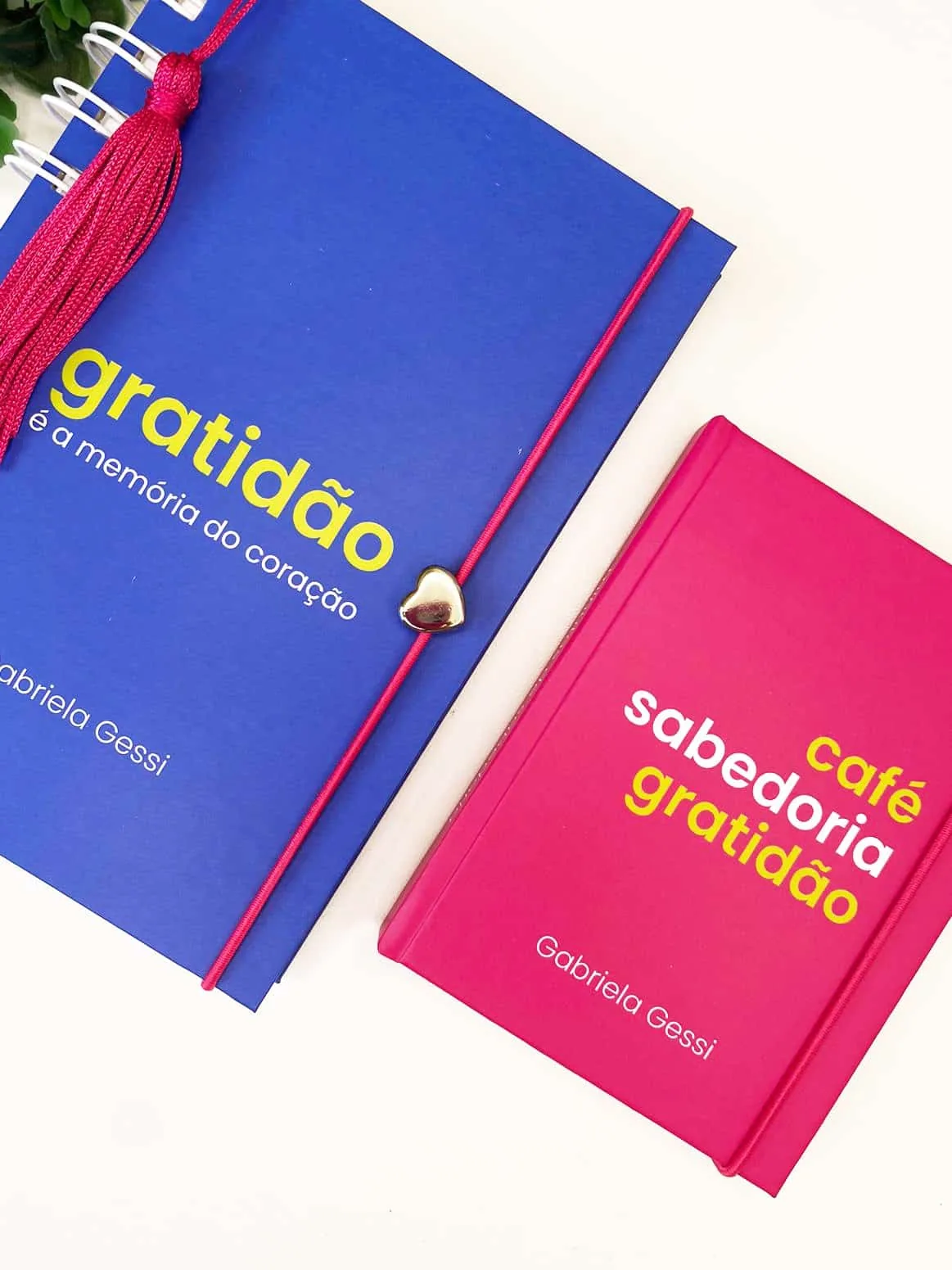 Kit Gratidão – Coleção Inaá — foto 1