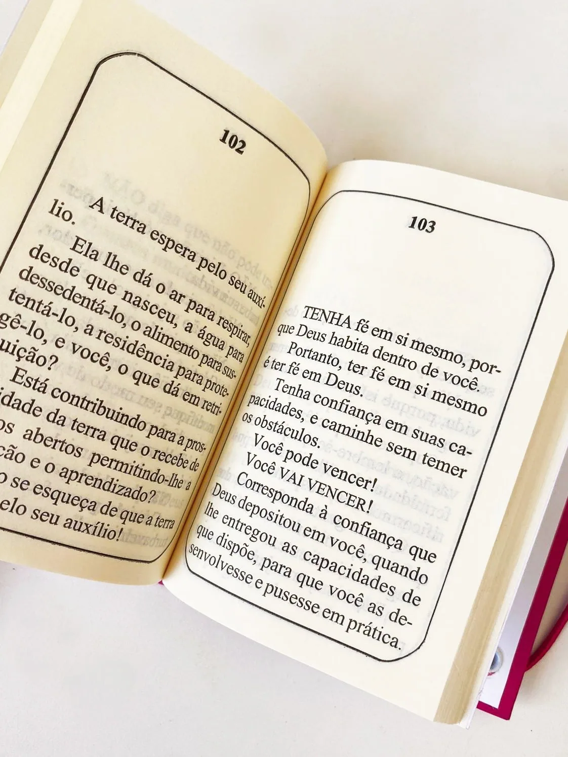 Kit Gratidão – Coleção Inaá — foto 11