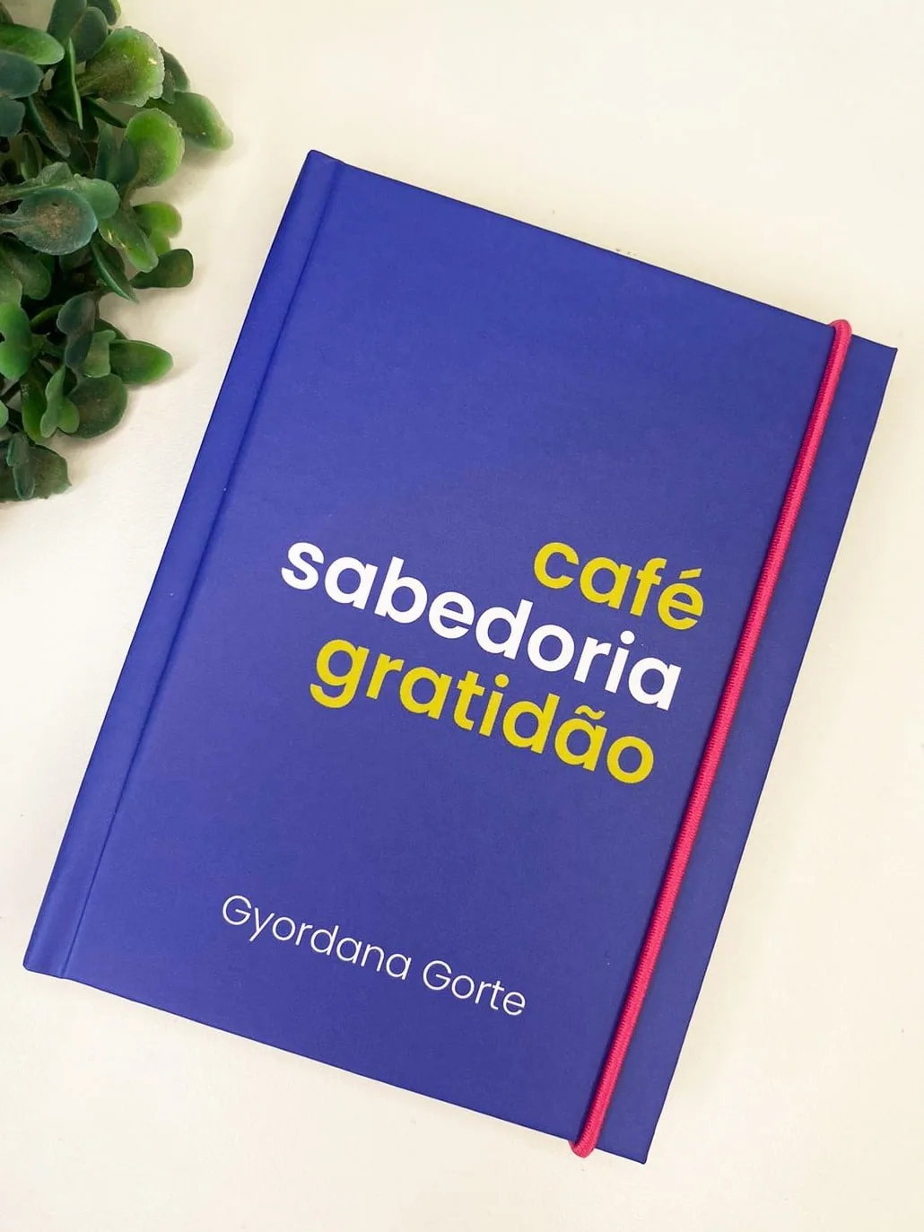 Kit Gratidão – Coleção Inaá — foto 12