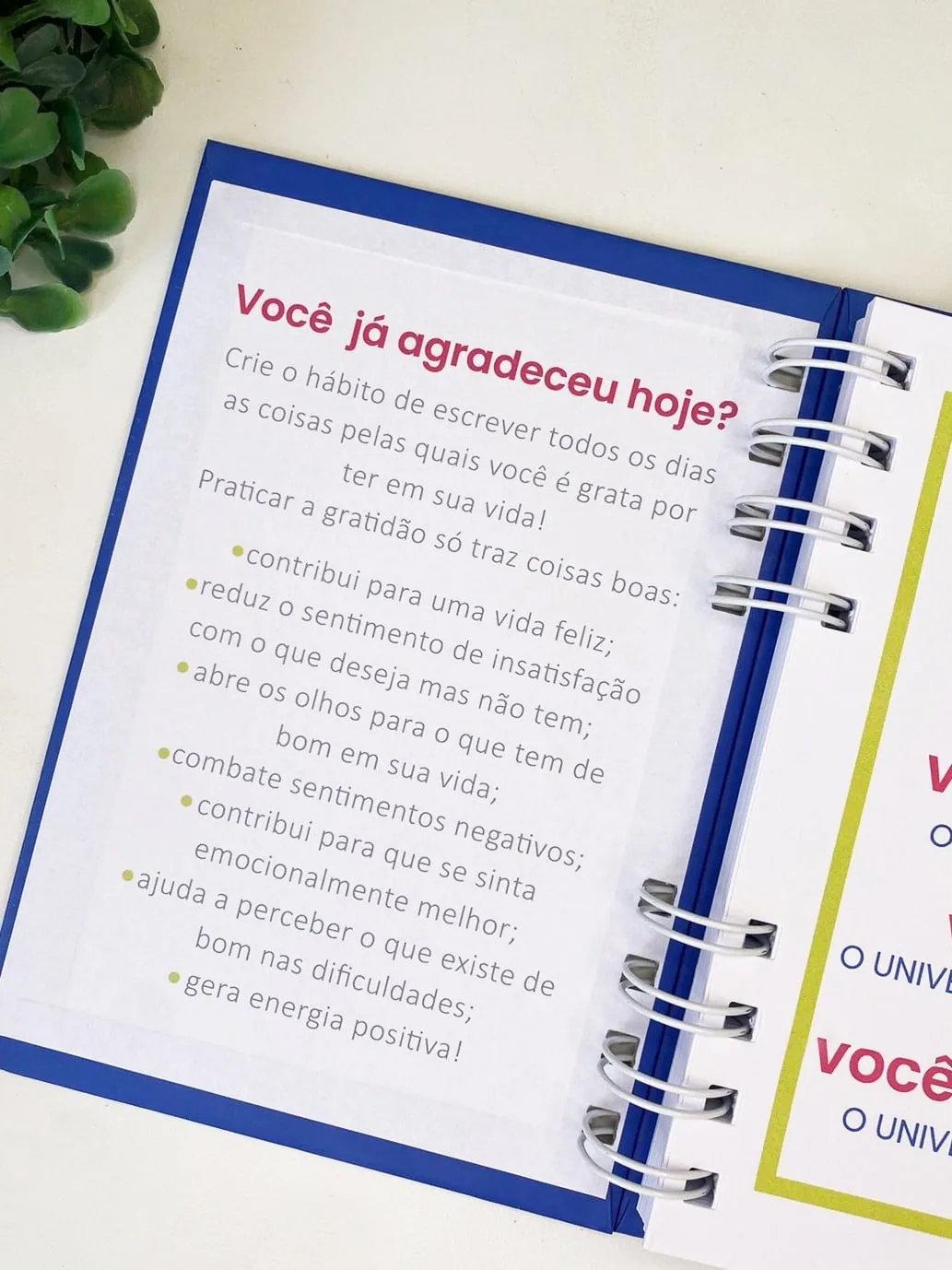 Kit Gratidão – Coleção Inaá — foto 5