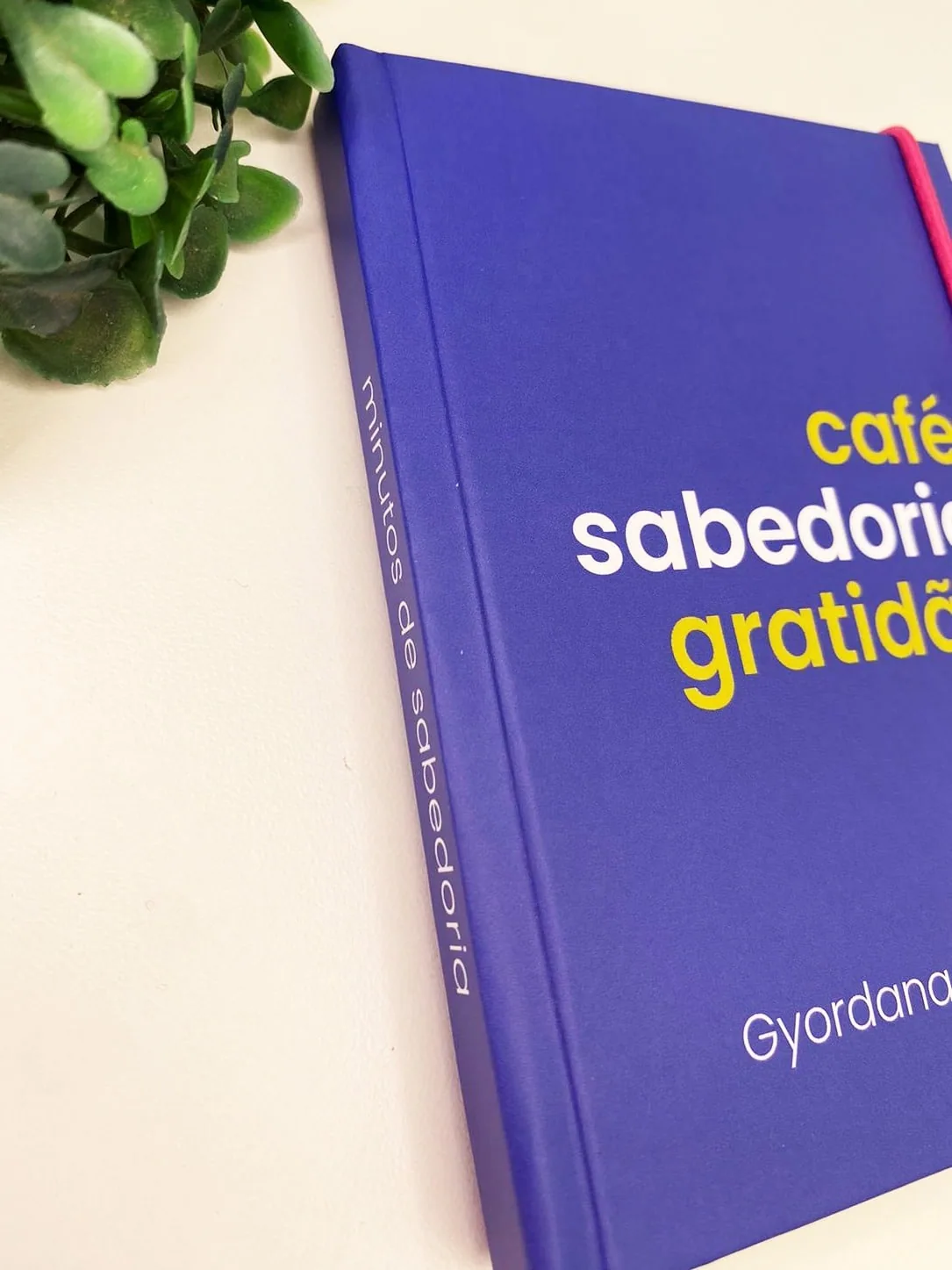 Kit Gratidão – Coleção Inaá — foto 8
